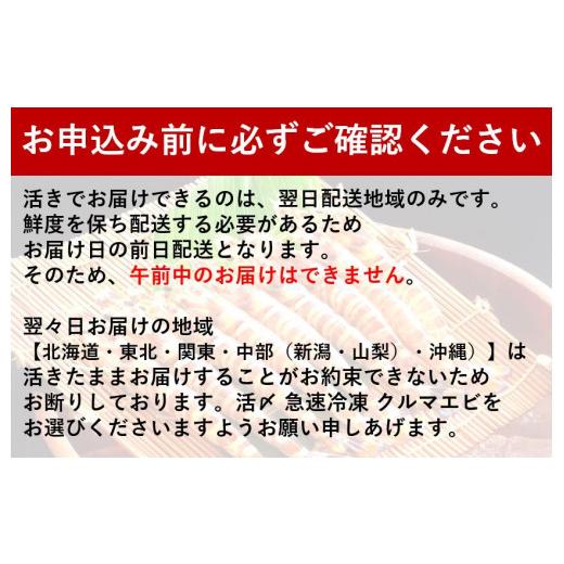 ふるさと納税 徳島県 鳴門市 活クルマエビ 750g　　※説明文をご確認ください