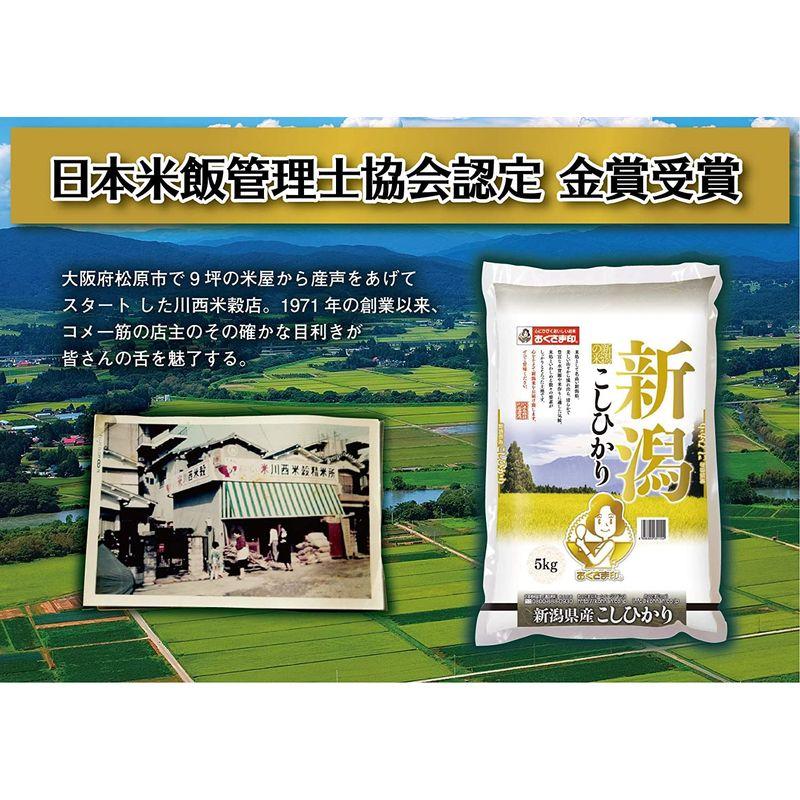 精米新潟県産 白米 こしひかり 5kg 令和4年産