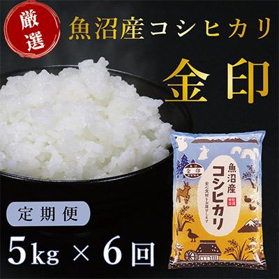 ふるさと納税 津南町 魚沼産コシヒカリ「金印」高食味米 5kg 全6回