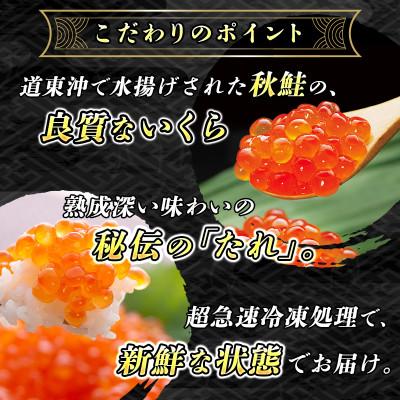 ふるさと納税 釧路町 いくら醤油漬け ＜250g×2パック入り 500g＞×2箱 ＜北海道産の鮭卵＞