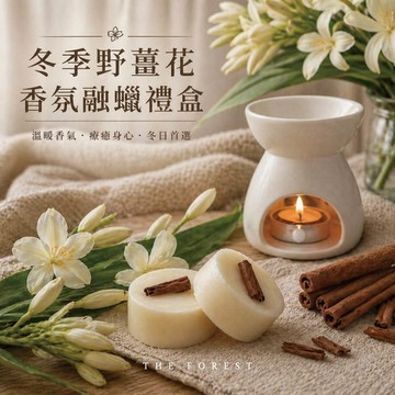 聖誕野薑花香氛融蠟禮盒 聖誕香氛蠟塊4入+融蠟燭燈