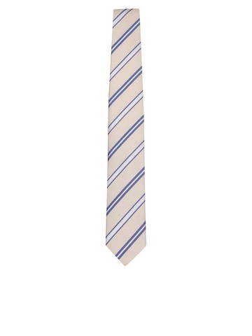 Lardini Ties