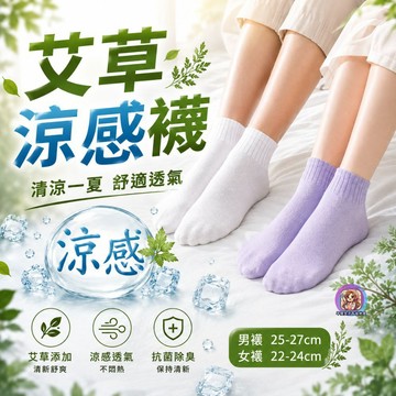 24H出貨 涼感襪 艾草襪 抗菌除臭襪 冰絲襪 止滑襪 排汗襪 透氣襪 中筒襪 短襪 休閒襪 運動襪 上班襪學生襪 襪子