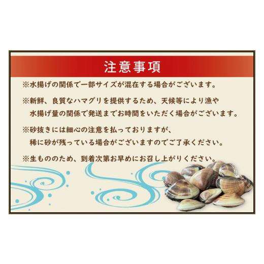 ふるさと納税 茨城県 大洗町 期間限定 鹿島灘 ハマグリ 訳あり 1.5kg