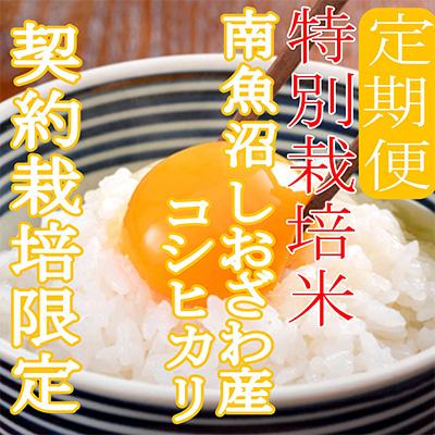 ふるさと納税 南魚沼市 ※特別栽培米4Kg※生産者限定 南魚沼しおざわ産コシヒカリ 全9回