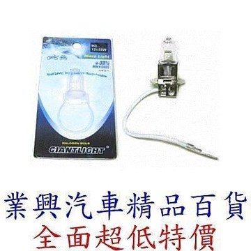 H3 霧燈燈泡 55W (H3-002)