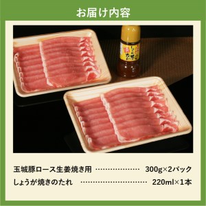 玉城豚ロース生姜焼きセット