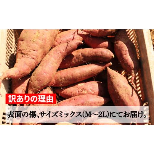 ふるさと納税 愛媛県 愛南町 訳あり 熟成 紅はるか 5kg さつまいも いも 低温熟成 完全熟成収穫  M〜2Lサイズ 高糖度 料理 国産 愛媛県 愛南町