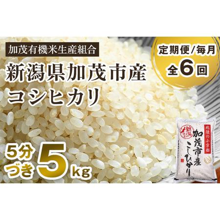 ふるさと納税 新潟県加茂市産 特別栽培米コシヒカリ 精米5kg 従来品種コシヒカリ 加茂有機米生産組合 定期.. 新潟県加茂市