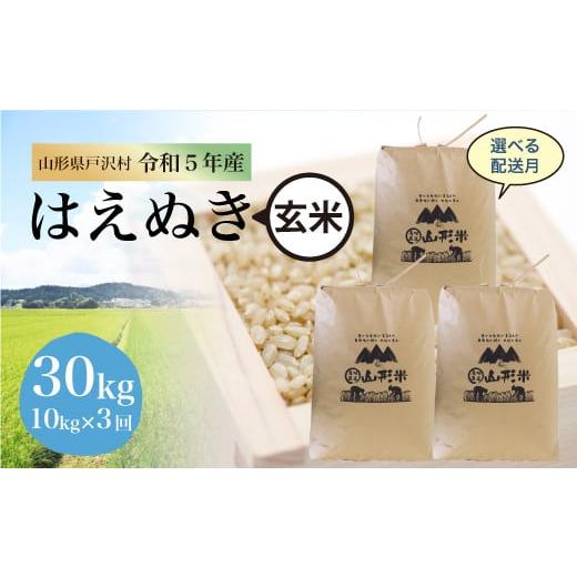 令和5年産 山形県戸沢村 厳選 はえぬき  30kg 定期便（10kg×1カ月ごと3回お届け） ＜配送時期指定可＞