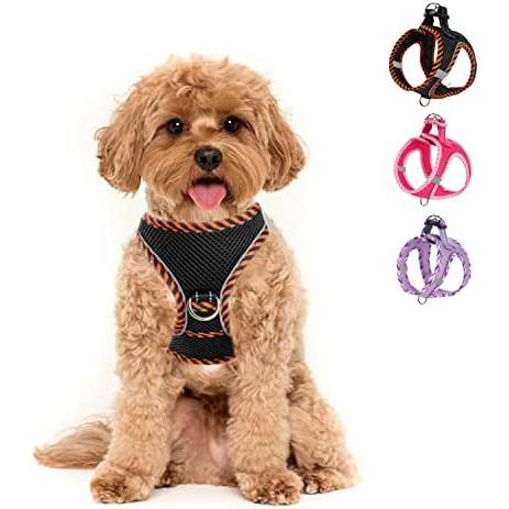 Easy dog harness hotsell to put on