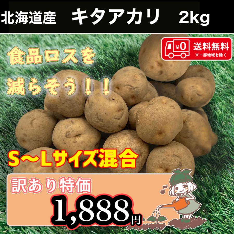 北海道産 北あかり 訳あり 食品ロス S〜Lサイズ混合 2kg  送料無料 じゃがいも 馬鈴薯
