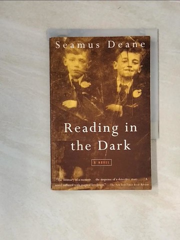 【書寶二手書T2／原文小說_UYV】Reading in the Dark_Deane, Seamus