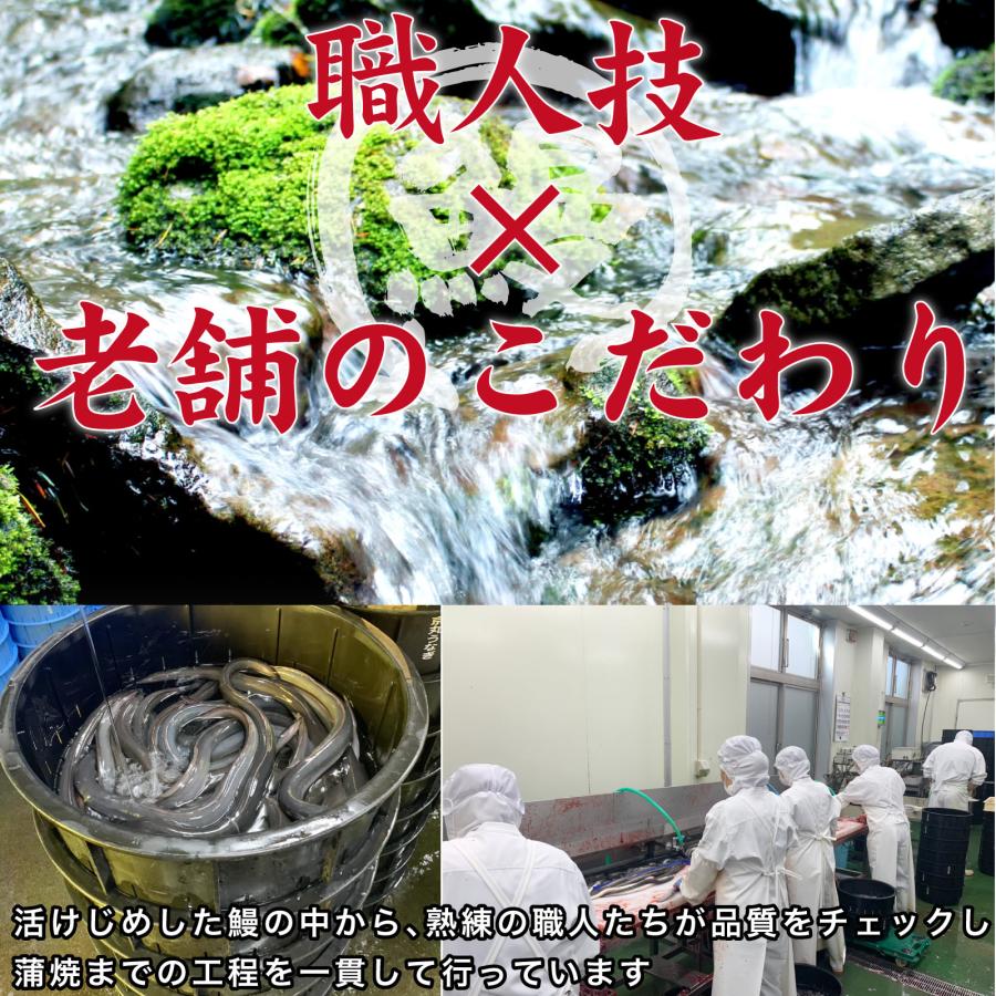 送料無料 国産うなぎ2枚国産うなぎカット蒲焼き