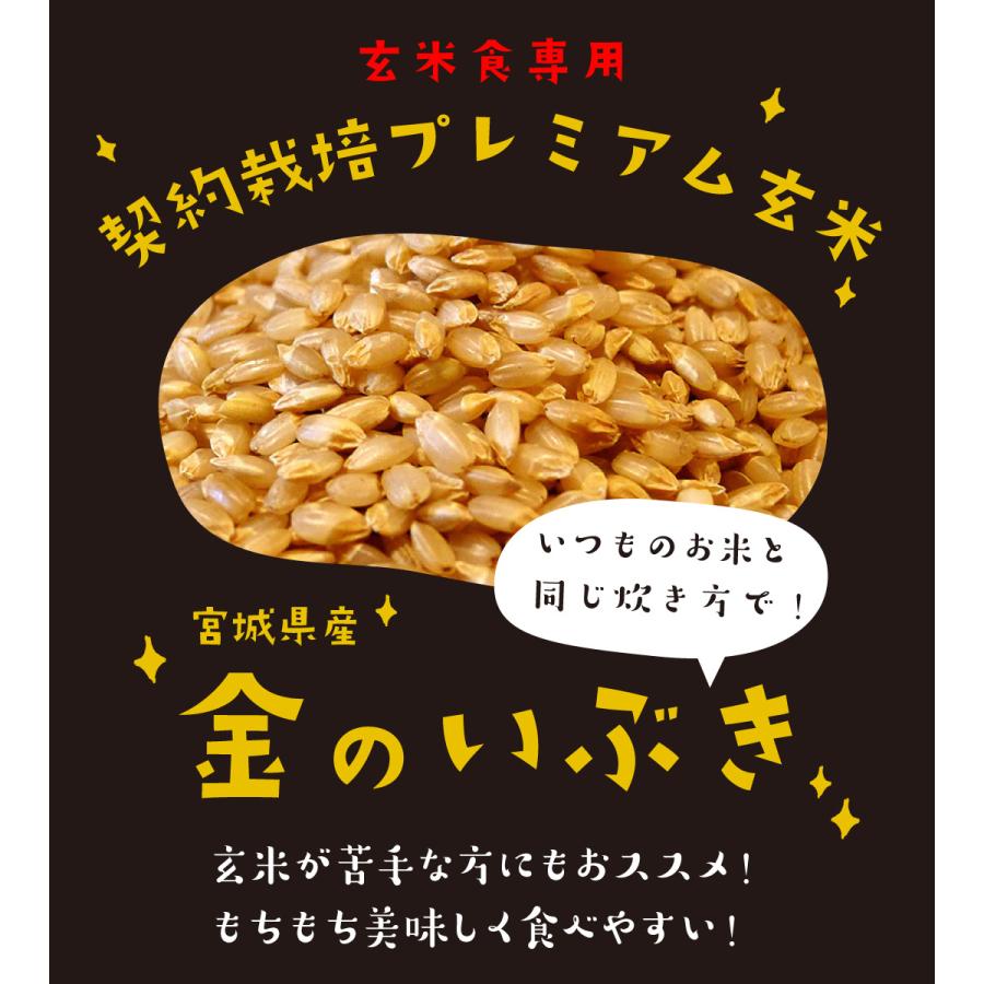 玄米 2kg 米 お米 金のいぶき 玄米 宮城県 送料無料 おこめ 米2kg 玄米2kg 2キロ 二キロ 美味しい 単一原料米 銘柄 令和5年産 新米 宅配 安い 格安 お試し