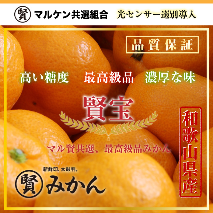 [予約 2023年11月1日-11月30日の納品] 賢宝みかん マル賢みかん 約5kg SML 特秀 樹上完熟 和歌山県 けんぽう 冬ギフト お歳暮 御歳暮