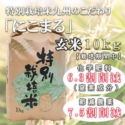 ふるさと納税 諫早市 特別栽培米・九州のこだわり米「にこまる 」玄米10kg全3回