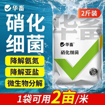 ⭐限時下殺🔥【華畜】硝化細菌水產養殖專用生物降氨氮亞硝酸鹽調水淨水反硝化細菌