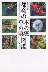 都会の木の実・草の実図鑑 石井桃子