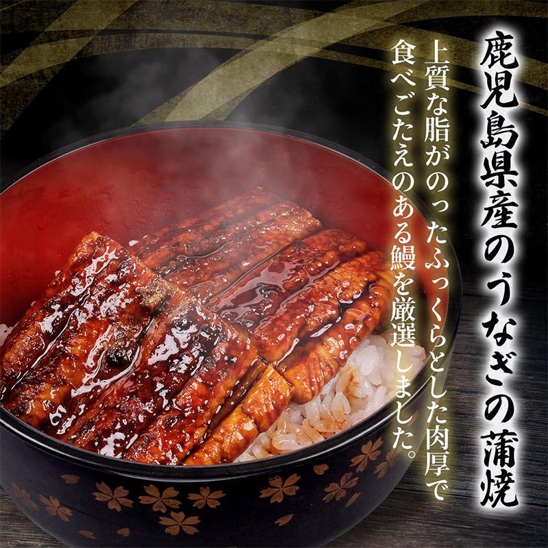 鹿児島県産うなぎ蒲焼 140g×1尾 うなぎ ウナギ 鰻 蒲焼き 国産 鹿児島県産 鹿児島産 土用の丑の日 食べ物 グルメ