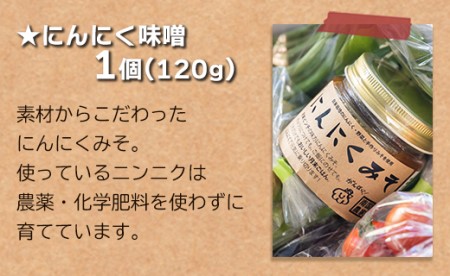 農薬不使用のお野菜8品とにんにく味噌のセット pr-0011