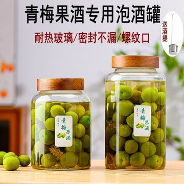 泡酒專用玻璃酒瓶青梅楊梅果酒自釀酒罐酒壇酒瓶空瓶耐熱密封容器