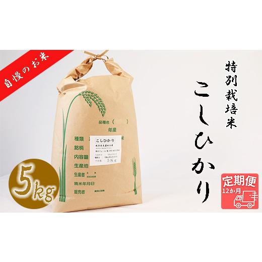 ふるさと納税 岐阜県 垂井町 ≪令和5年産新米≫垂井町産コシヒカリ(5kg×12回）