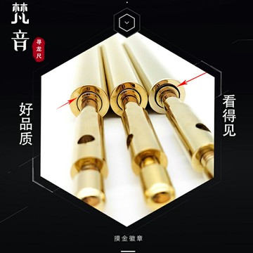 楊公正品尋龍尺高精度純銅唐人街探案磁場能量儀尋龍點穴探測棒 雙11全館免運