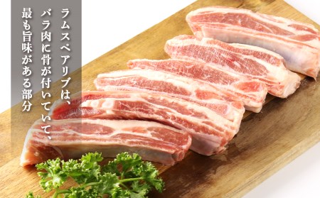 骨付き ラム スペアリブ 約1.5kg＜肉の山本＞   (羊肉 らむ ラム)