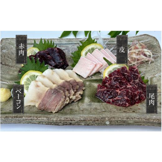 ふるさと納税 和歌山県 太地町 鯨肉セット （尾肉100g×1・赤肉150g×3・皮100g×1・ベーコン100g×1）／刺身 クジラ くじら クジラ肉 くじら肉