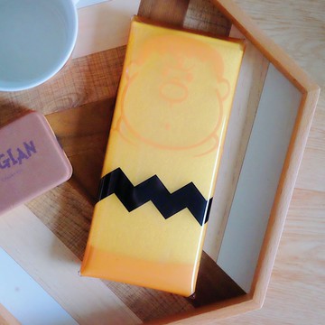 《哆啦A夢》🇯🇵日本商品胖虎PVC萬用收納盒眼鏡盒筆袋刷具袋哆啦A夢50週年DORAEMON 日落小物 生日禮物