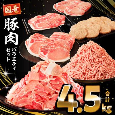 ふるさと納税 宮崎市 ロースいっぱい大満足豚肉バラエティセット4.5kg(宮崎市)