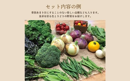 《有機JAS認証》オーガニック 季節のお野菜セット（大）定期便 6ヶ月連続 F21R-866