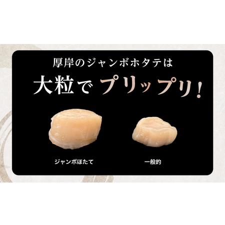 ふるさと納税 ジャンボホタテ貝柱 500g (12玉前後) 北海道 帆立 ホタテ ほたて 貝柱 ホタテ貝柱 　 北海道厚岸町