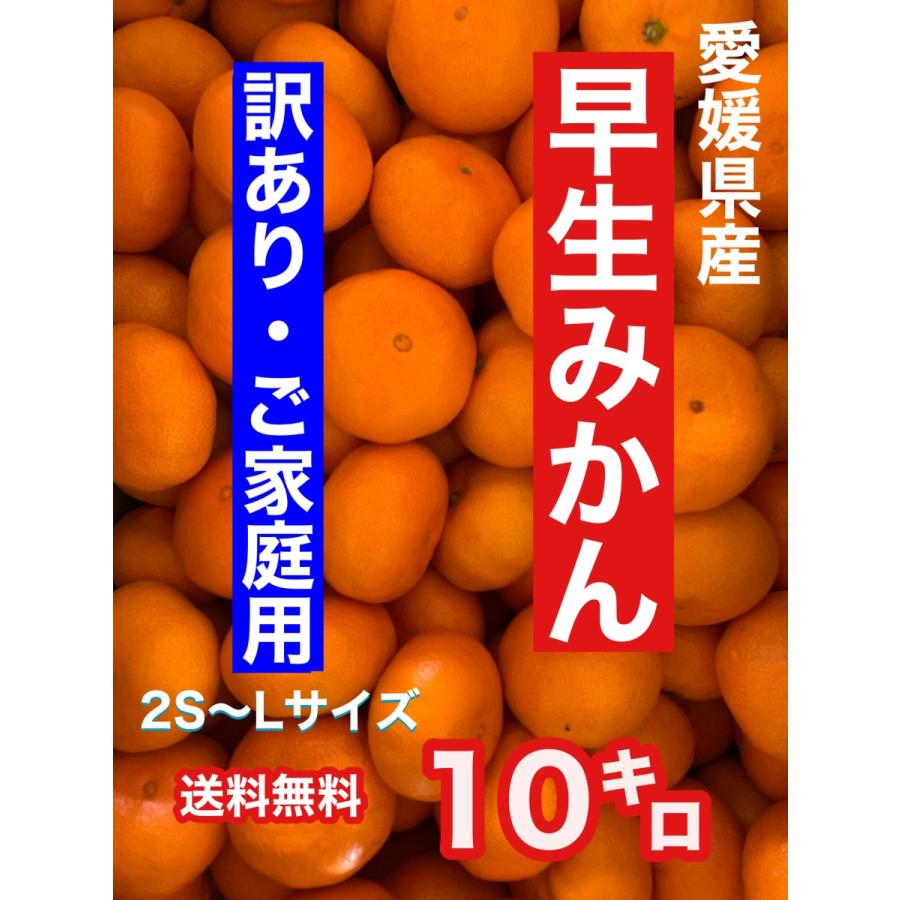 愛媛県産 わけあり早生みかん10キロ サイズ無選別 風邪予防・水分補給