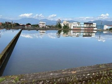 三星大隱段面寬19米386坪老農夫的地｜宜蘭縣三星鄉大隱段
