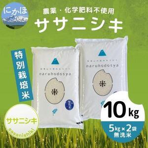 ふるさと納税 栽培期間中 農薬・化学肥料不使用 特別栽培米ササニシキ5kg×2 秋田県にかほ市