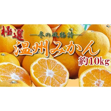 ふるさと納税 極撰！温州みかん　約１０kg 香川県丸亀市