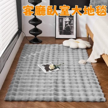 台灣發貨🌰絨毛地毯 短毛地毯 現代簡約地毯 床邊地毯 60*120cm 可機洗地毯臥室 大地毯客廳 仿兔毛地毯 床邊毯