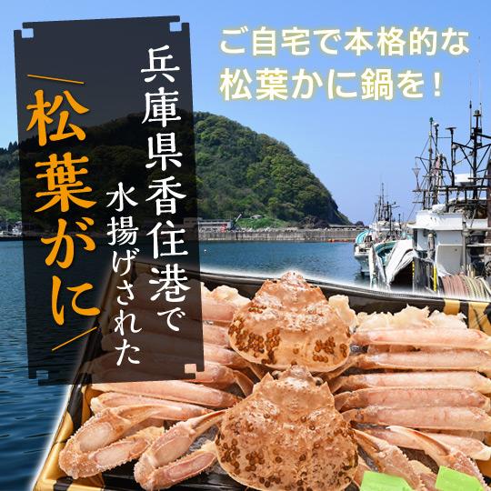 兵庫県産 松葉がに ２杯分入 かに カニ グルメ 食品 ギフト 正月 お歳暮 10