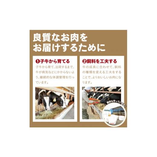 ふるさと納税 鳥取県 鳥取市 1200 鳥取牛ヒレステーキ 3枚(390g)