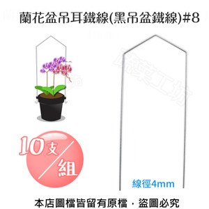 蘭花盆吊耳鐵線(黑吊盆鐵線)#8 10支/組