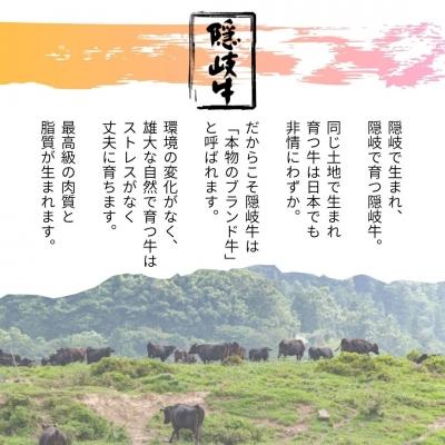 ふるさと納税 海士町 隠岐牛上赤身ロースすき焼き 黒毛和牛 牛肉 肉 A4 A5 ブランド牛