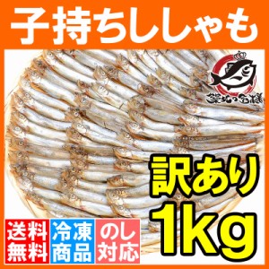 送料無料 訳あり ししゃも 子持ちシシャモ 業務用 1kg 樺太シシャモ カラフトシシャモ カペリン 柳葉魚 ノルウェー・カナダ産 中国加工