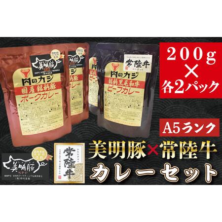 ふるさと納税 DT-42カレー２パック＋カレー２パック 茨城県行方市