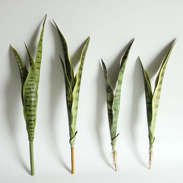 仿真把束虎皮蘭葉假綠植插花瓶植物墻櫥窗布展景場景裝飾家居飾品