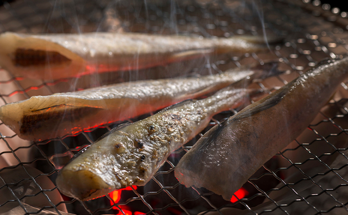 北海道産こまい干し 約1kg(500g×2) 化粧箱入 氷下魚 干し魚 おかず おつまみ 揚げ物