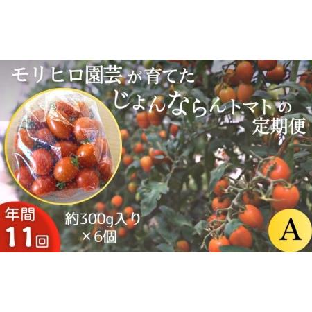 ふるさと納税 モリヒロ園芸が育てたじょんならんトマトの定期便A　約300g×6個入り（年間11回） 香川県観音寺市