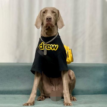 狗狗衣服秋冬大型犬潮牌金毛拉布拉多薩摩耶防掉毛大狗狗衣服保暖