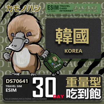 【鴨嘴獸 旅遊網卡】韓國eSIM 30日 重量型 吃到飽 網卡 韓國上網卡 免換卡 高流量上網卡